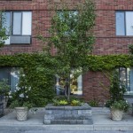 Visviva gardens, gardening toronto, planters, design, landscaping