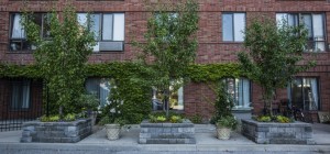 Visviva gardens, gardening toronto, planters, design, landscaping